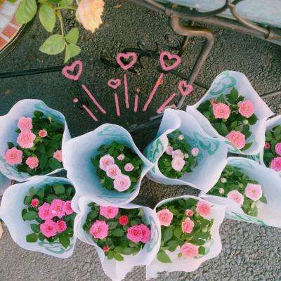 美国抵押贷款利率飙升至五个月高点 凸显战争的经济影响扩大